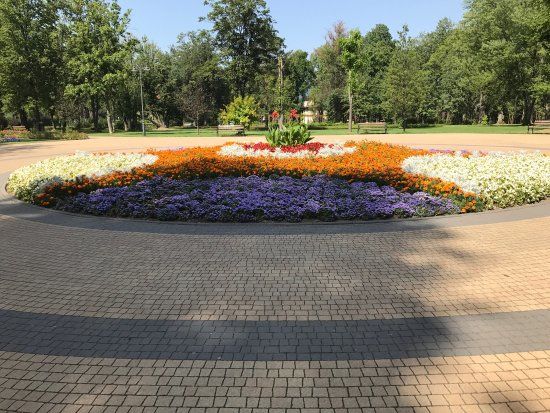 Park Zdrojowy